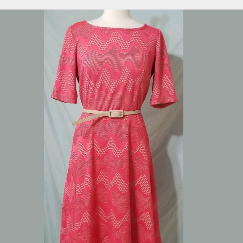 Chelsea Suit Coral A Line Dress size 10
